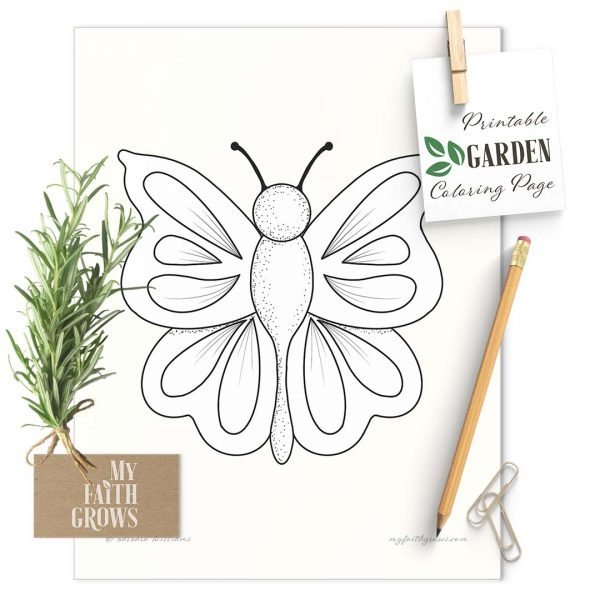 butterfly coloring page mock up